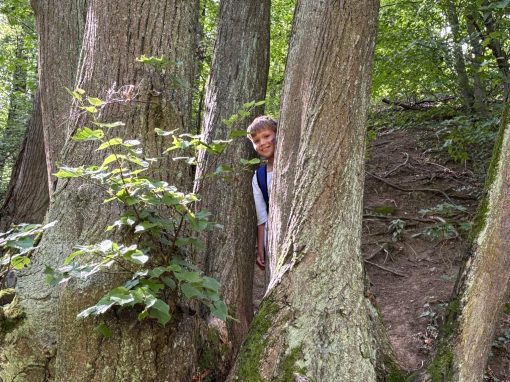 f442dc56-69d1-4629-b55f-e2892842bbb8