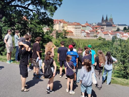 0281c148-0433-4ca5-b038-835d04d890ae