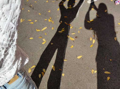 59c9b75a-5a55-4431-b019-9d495a51cc15