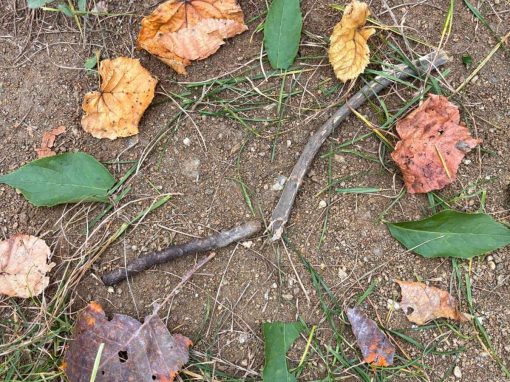 c7e1f33f-2c37-475c-99b1-793f5358f9fc