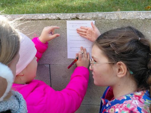 d1a5ce23-a121-49df-b351-a9337673e69e