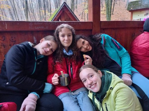 3c00b340-c0a1-4fee-9770-42f48e378c9c