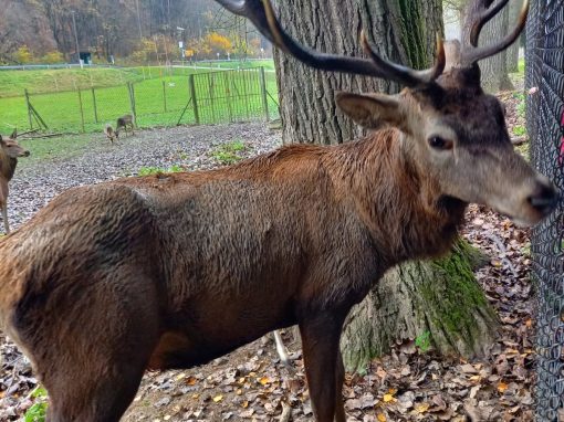 789b67eb-f057-4b09-a433-c1db8281c66a