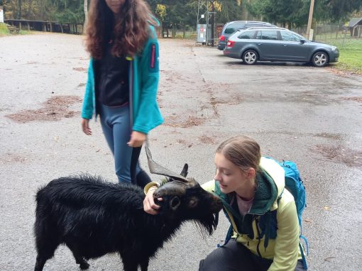 d11940a4-3150-4d41-ad14-30801eba5f9d