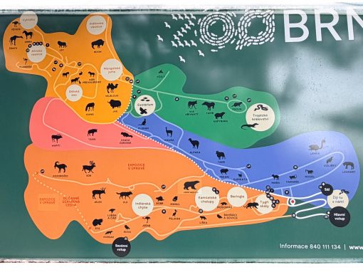 IMG_3800_SnapseedCopy