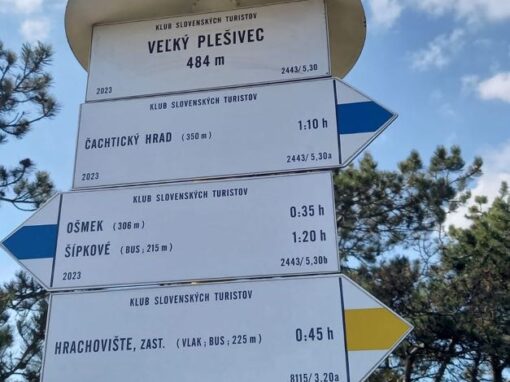 094fa21d-1976-4ca6-ac33-96a79096fe84