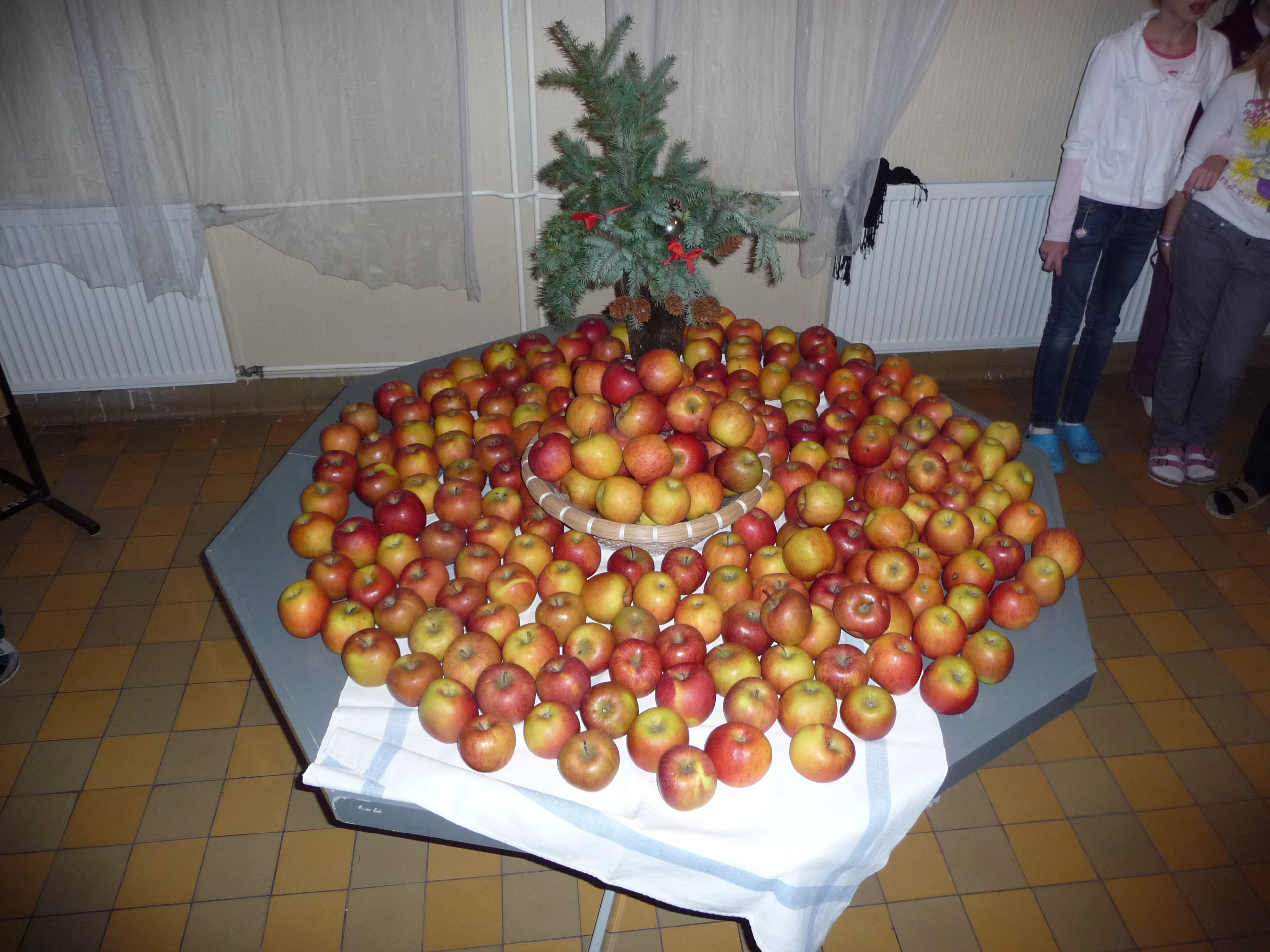 Zdravý životný štýl – Ovocie a zelenina do škôl