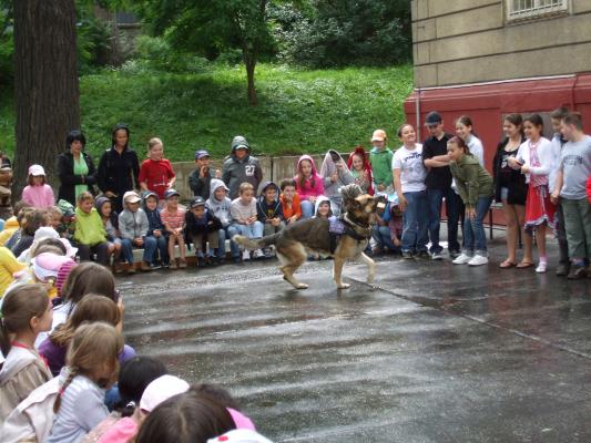 Mestská polícia v ŠKD