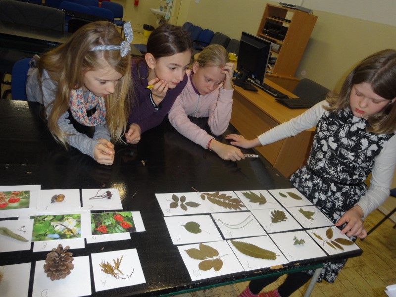 Biologická olympiáda kategória F