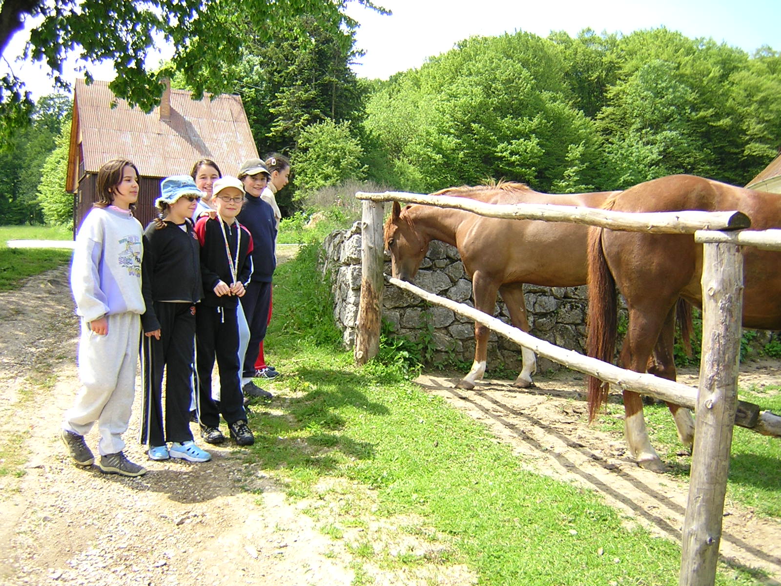 Škola v prírode – máj 2004