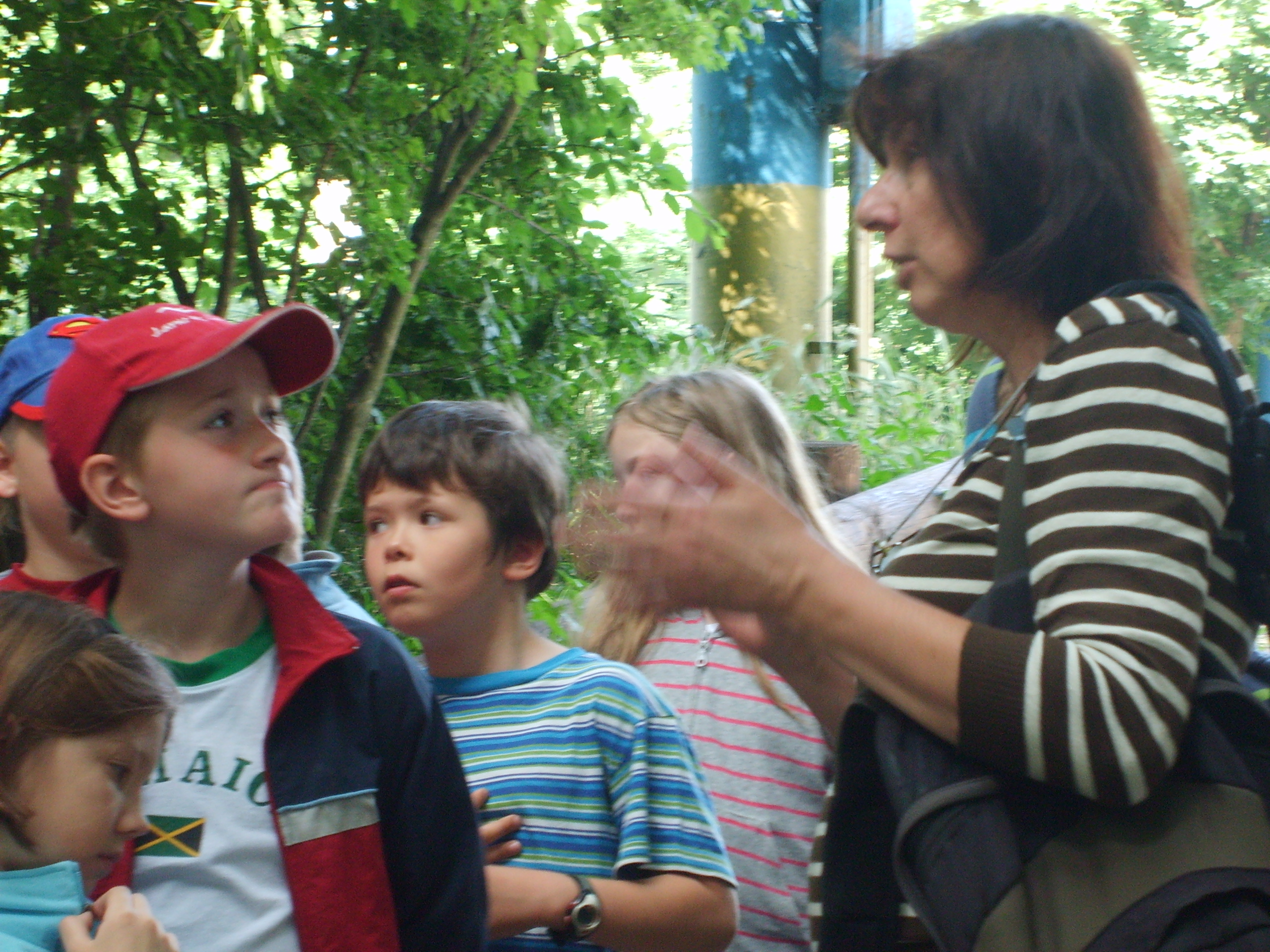 Alternatívne vyučovanie v prírode